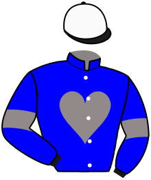 Casaque du n°2 — SWANN TEN DOORN