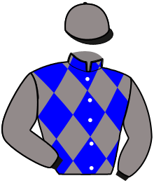 Casaque du n°5 — TYBOR
