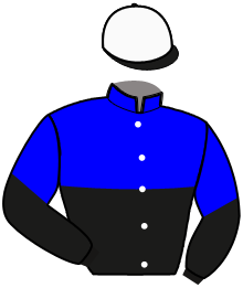 Casaque du n°9 — TRES WINNER