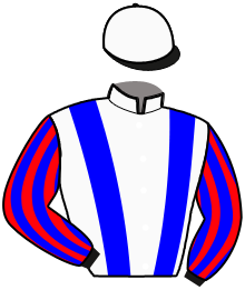 Casaque du n°11 — LORENZO DE BRUCOM