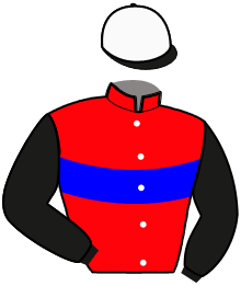 Casaque du n°3 — MAUVE D'HUIN