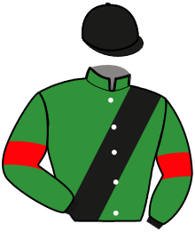Casaque du n°13 — HORSE WOOD PASS