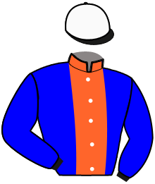 Casaque du n°5 — IPETIT PRINCE