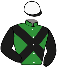 Casaque du n°3 — ULRIK DE VIKING