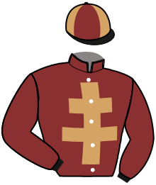 Casaque du n°11 — JUPITER MADRIK