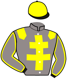 Casaque du n°14 — MIDDLE STAR