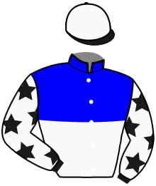 Casaque du n°1 — BLAUER MAX