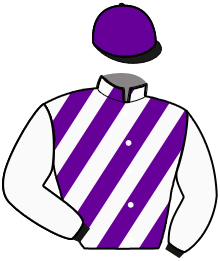 Casaque du n°10 — JOKER DU HAMEL