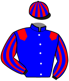 Casaque du n°4 — IMBRIN BUROIS