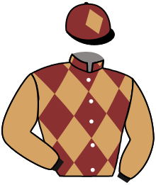 Casaque du n°4 — NIKARIA