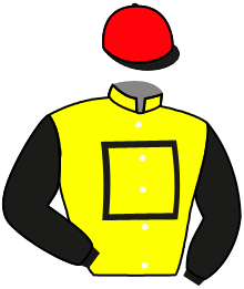 Casaque du n°1 — ROYAL MARVEL