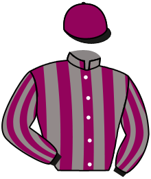 Casaque du n°3 — KAPLINO