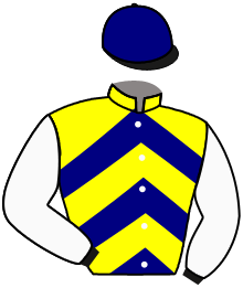 Casaque du n°3 — SUMAVA