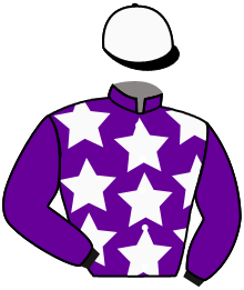 Casaque du n°8 — TACTICIEN
