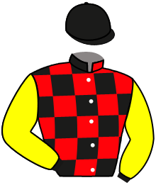Casaque du n°2 — SENONNIAN