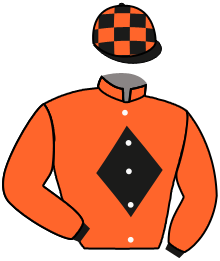 Casaque du n°4 — MATADOR WOOD