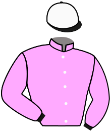 Casaque du n°3 — LEWIS GREY