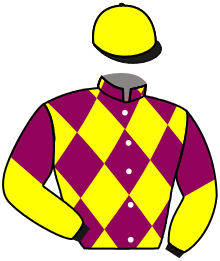 Casaque du n°10 — SAISHO