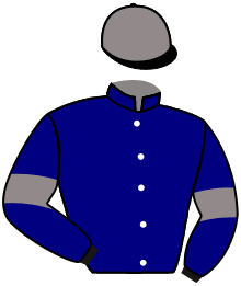 Casaque du n°3 — LE COLOMBAR