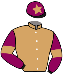 Casaque du n°4 — KAMARO D'HUEZ