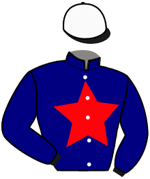 Casaque du n°5 — OPERA WOOD
