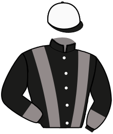 Casaque du n°2 — NEO