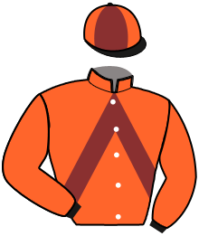 Casaque du n°15 — MASCOTT DU CHOQUEL