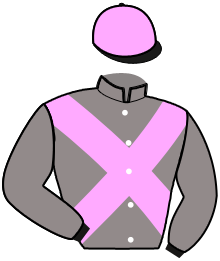 Casaque du n°3 — IGUANE DE CAPONET