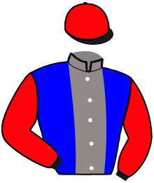Casaque du n°13 — LEGENDE DE NILREM
