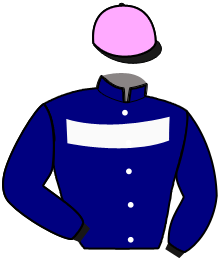 Casaque du n°11 — JACQUES MEARAS