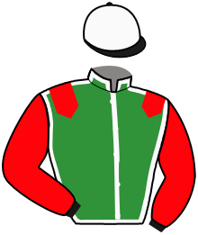 Casaque du n°14 — MAN OF STEEL (GER)