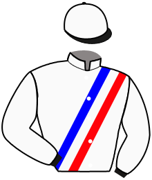 Casaque du n°7 — MERCEDES STAR