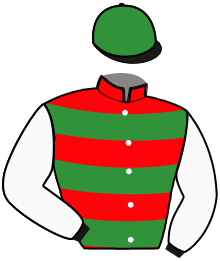 Casaque du n°14 — MOURILLON