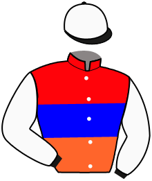 Casaque du n°2 — CHEVELEY PARK
