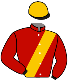 Casaque du n°7 — GALANAZO PINCHA