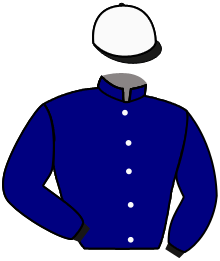 Casaque du n°3 — BOMBAY LAKE