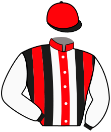 Casaque du n°7 — DON ZAHIR