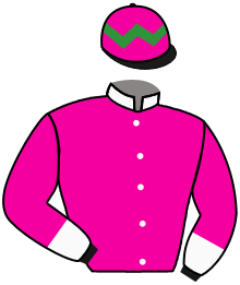 Casaque du n°10 — FOWLER