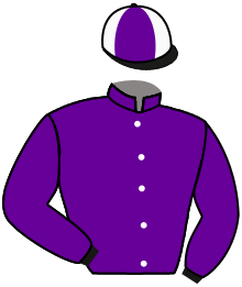 Casaque du n°4 — ESCONDEDOR