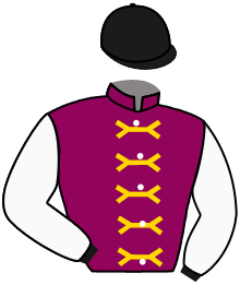 Casaque du n°8 — TOP COLT