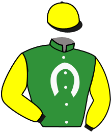 Casaque du n°2 — DABZAR