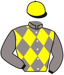 Casaque du n°5 — LOYAL LADY
