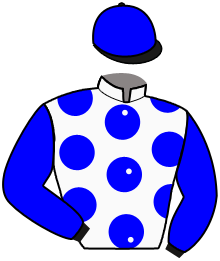 Casaque du n°10 — OTONIA
