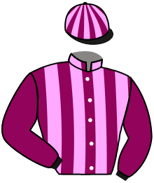 Casaque du n°12 — BACHEROVKA