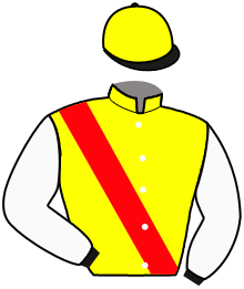 Casaque du n°13 — SKALI