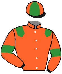 Casaque du n°14 — WALMORYA