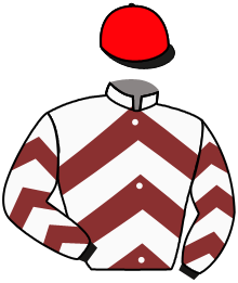 Casaque du n°2 — BOUDECHOU