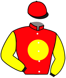 Casaque du n°4 — GALAYO
