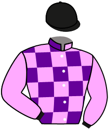 Casaque du n°3 — TARASOFT
