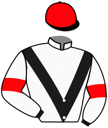 Casaque du n°8 — ANDUGAL